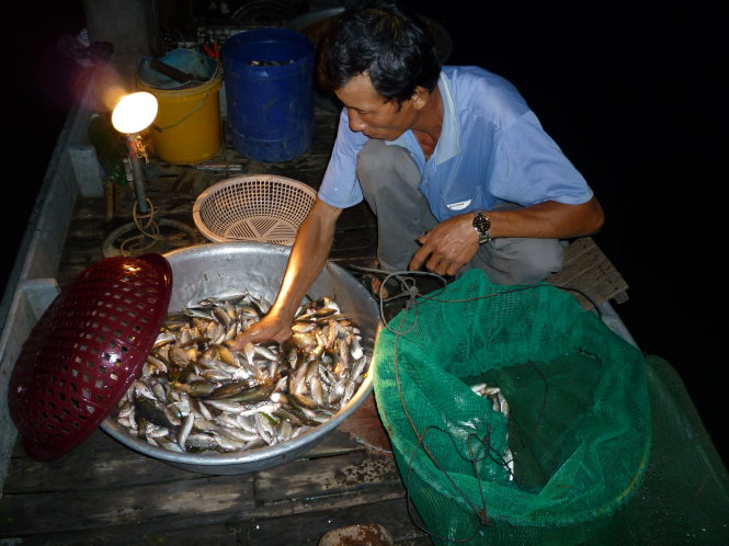 Chợ đêm bán đủ loại cá, trong đó có cá hủng hỉnh